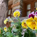 Casas Na Montanha Vistas Fantasticas Com Piscina *