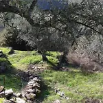 Casas Na Montanha Vistas Fantasticas Com Piscina Vinhais