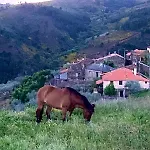 Prázdninový dům Casas Na Montanha Vistas Fantasticas Com Piscina *