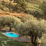 Casas Na Montanha Vistas Fantasticas Com Piscina Feriehus