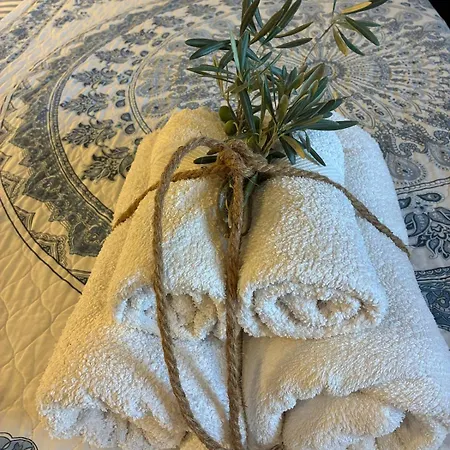 Casas Na Montanha Vistas Fantasticas Com Piscina Vinhais