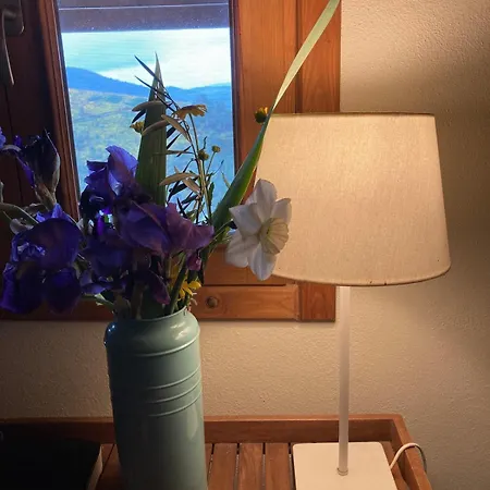 Casa Dos Figos Vistas Fantásticas * Vinhais