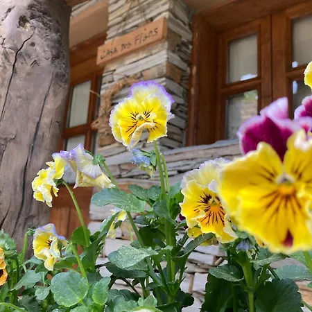 Casas Na Montanha Vistas Fantasticas Com Piscina *