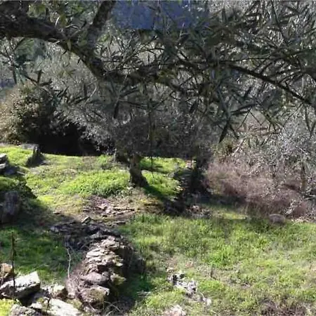 Casas Na Montanha Vistas Fantasticas Com Piscina Vinhais