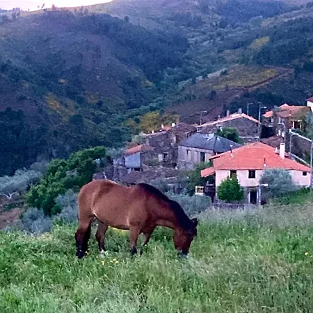 Σπίτι διακοπών Casas Na Montanha Vistas Fantasticas Com Piscina *