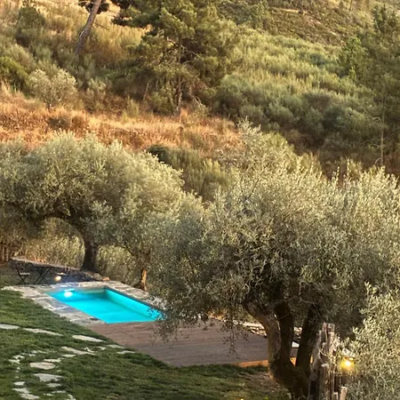 Casas Na Montanha, Rio,vistas Fantasticas E Piscina Feriehus