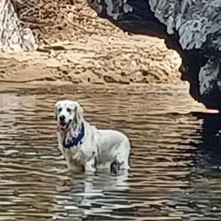 Casa vacanze Casa Dos Figos Vistas Fantásticas *