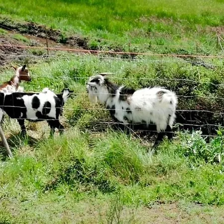 Casa Dos Figos Vistas Fantásticas Casa vacanze Vinhais