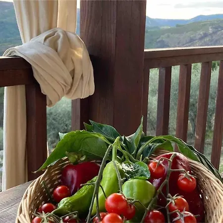 Casa Dos Figos Vistas Fantásticas * Vinhais