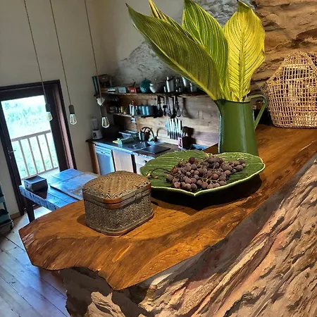 Casa Dos Figos Vistas Fantásticas * Vinhais