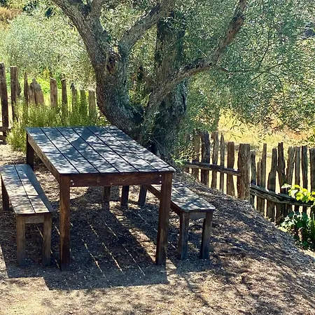 Casa Da Vinha Vistas Fantasticas بيت للعطل *