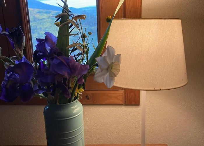 Casas Na Montanha Vistas Fantasticas Com Piscina * Vinhais