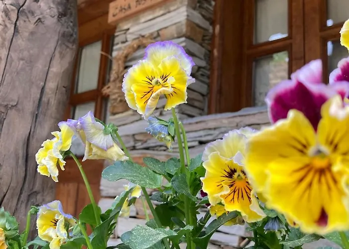 Casas Na Montanha Vistas Fantasticas Com Piscina *