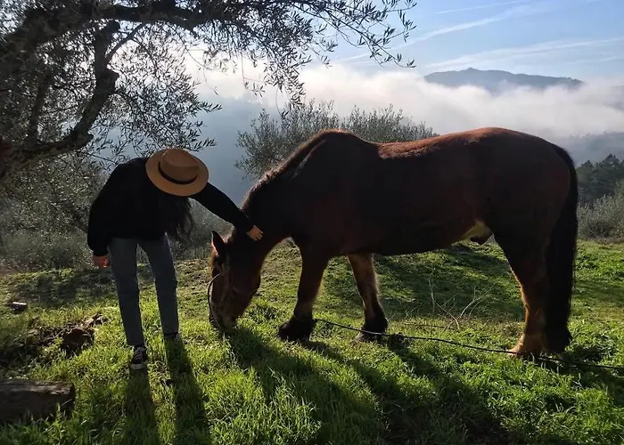 Casas Na Montanha Vistas Fantasticas Com Piscina