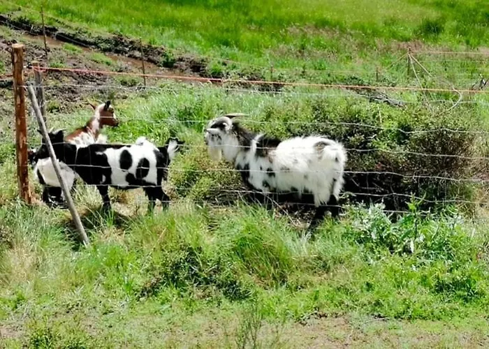 Casas Na Montanha Vistas Fantasticas Com Piscina Feriehus Vinhais