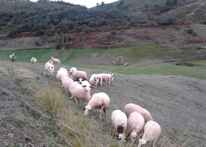 Casas Na Montanha Vistas Fantasticas Com Piscina * Vinhais