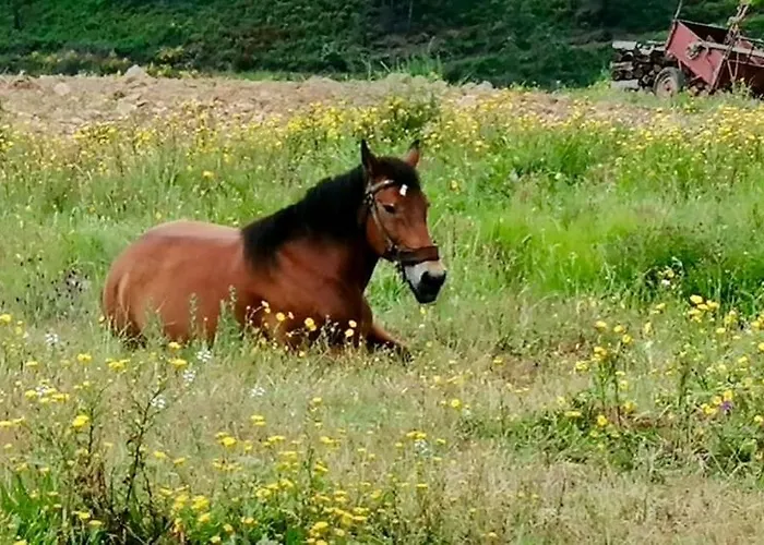 Casas Na Montanha Vistas Fantasticas Com Piscina Feriehus