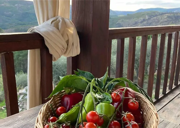 Casas Na Montanha Vistas Fantasticas Com Piscina * Vinhais