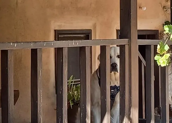 Casas Na Montanha Vistas Fantasticas Com Piscina Feriehus